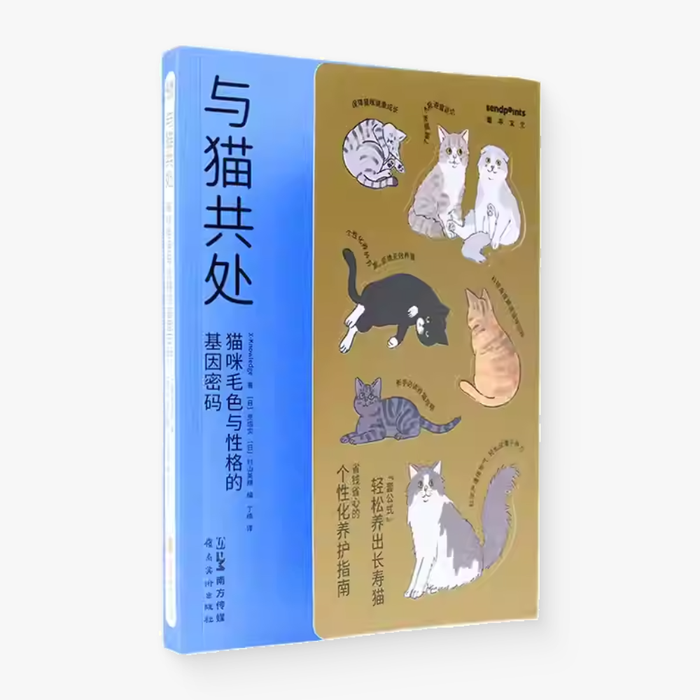 与猫共处:猫咪毛色与性格的基因密码