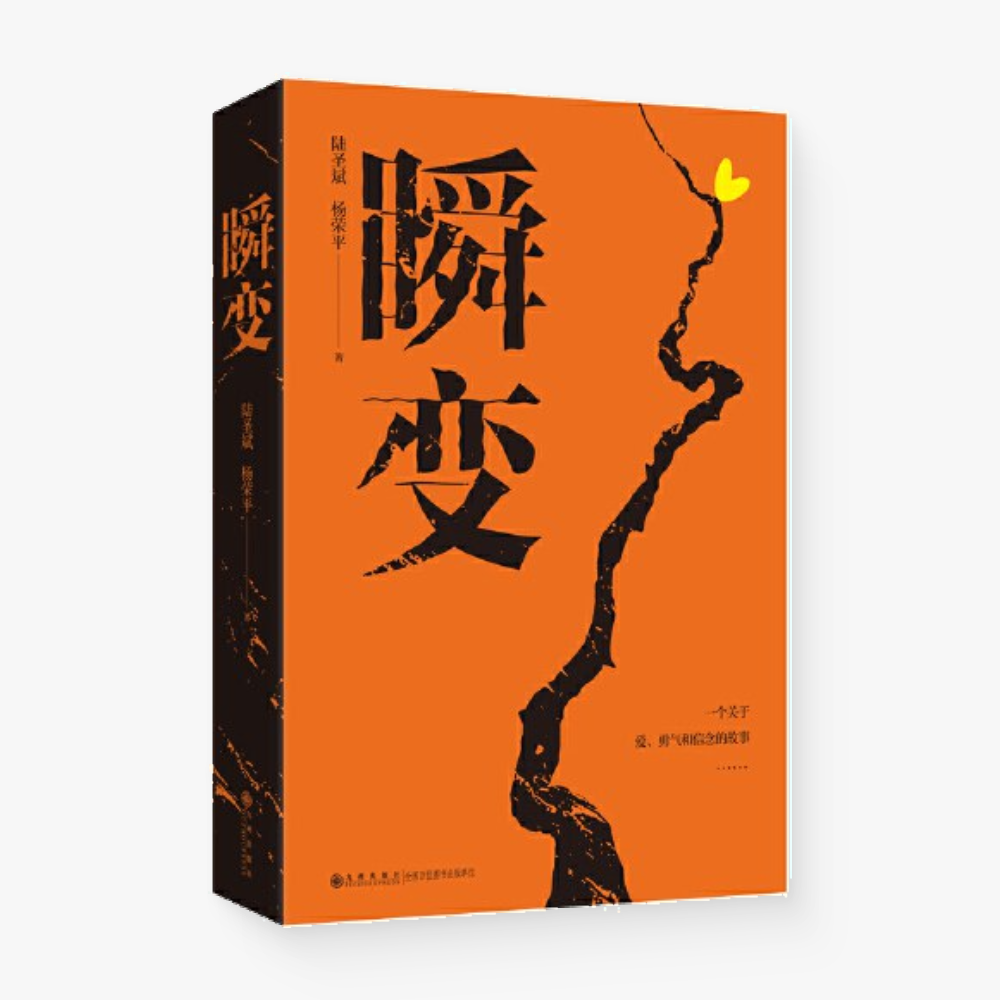 瞬变:一个关于爱、勇气和信念的故事