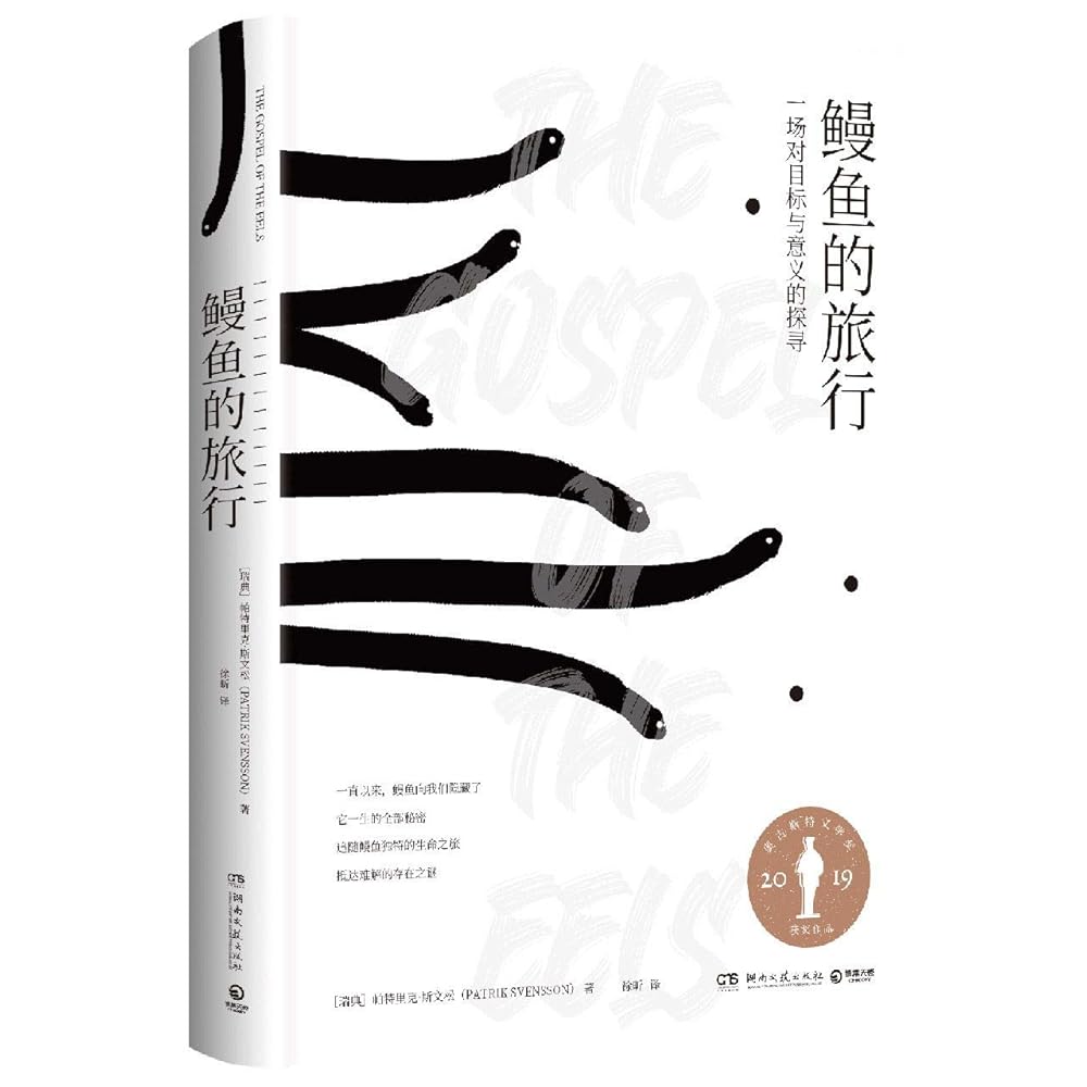 The Gospel of the Eels (Chinese Edition) cover image