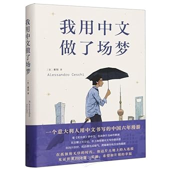 我用中文做了场梦 cover image