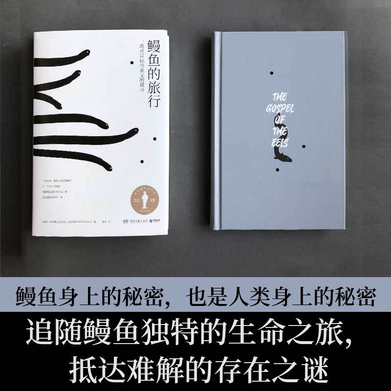 鳗鱼的旅行 : 一场对目标与意义的探寻