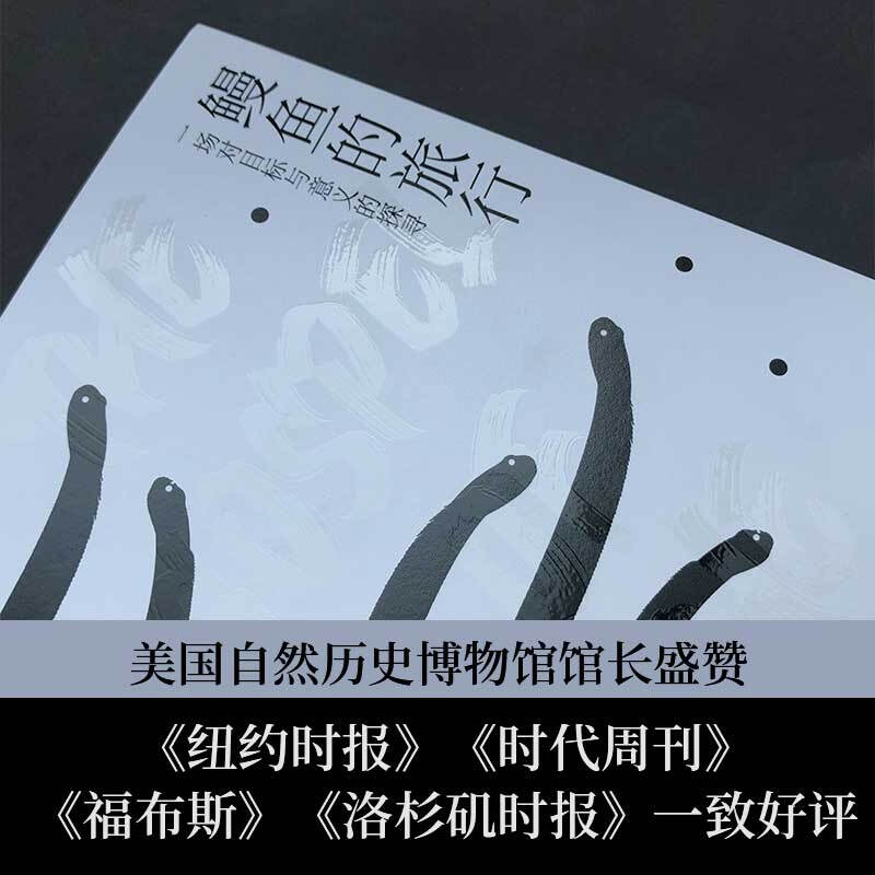 鳗鱼的旅行 : 一场对目标与意义的探寻