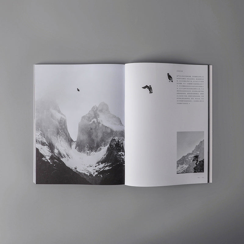 谷物16:等待的艺术