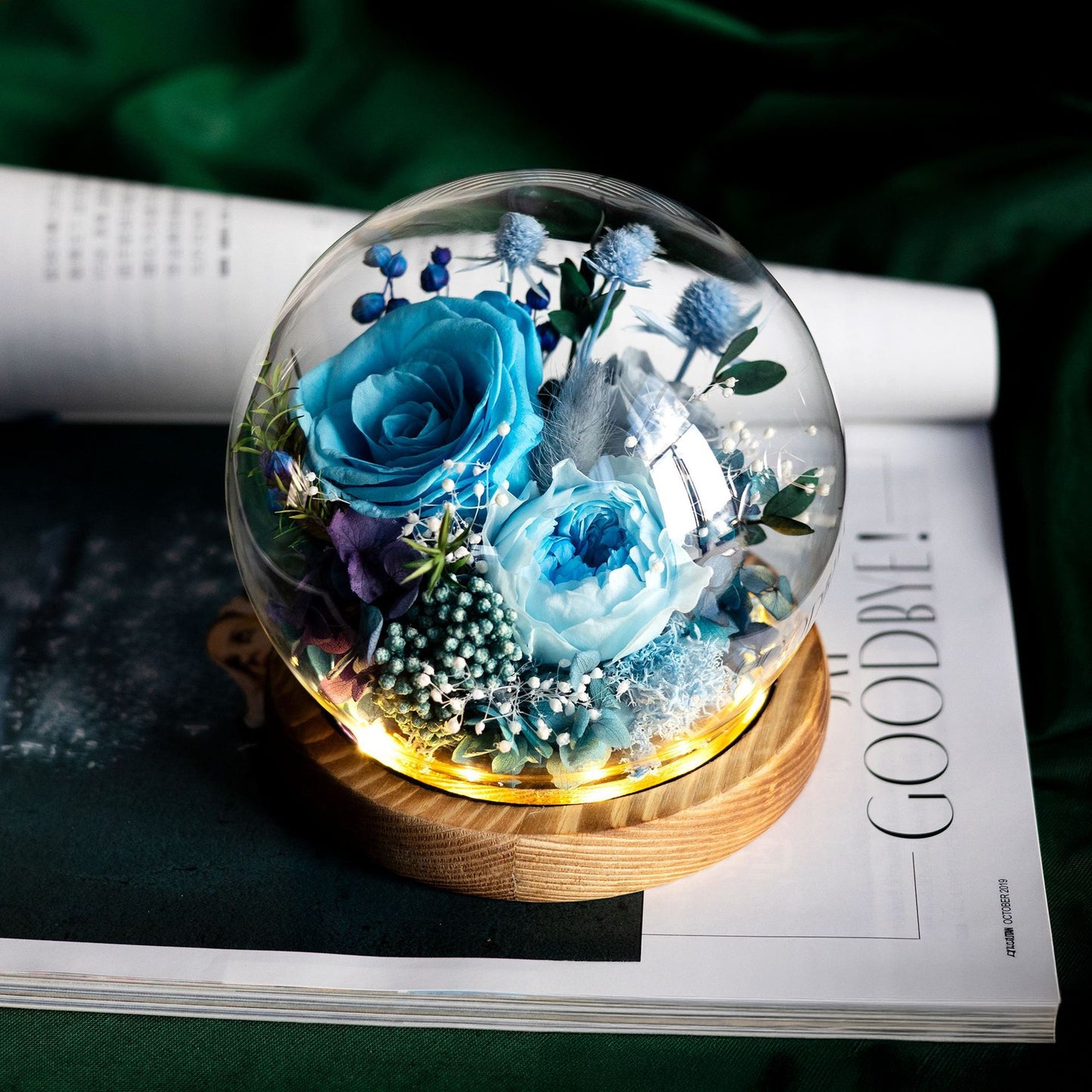Preserved Flower Light Dome