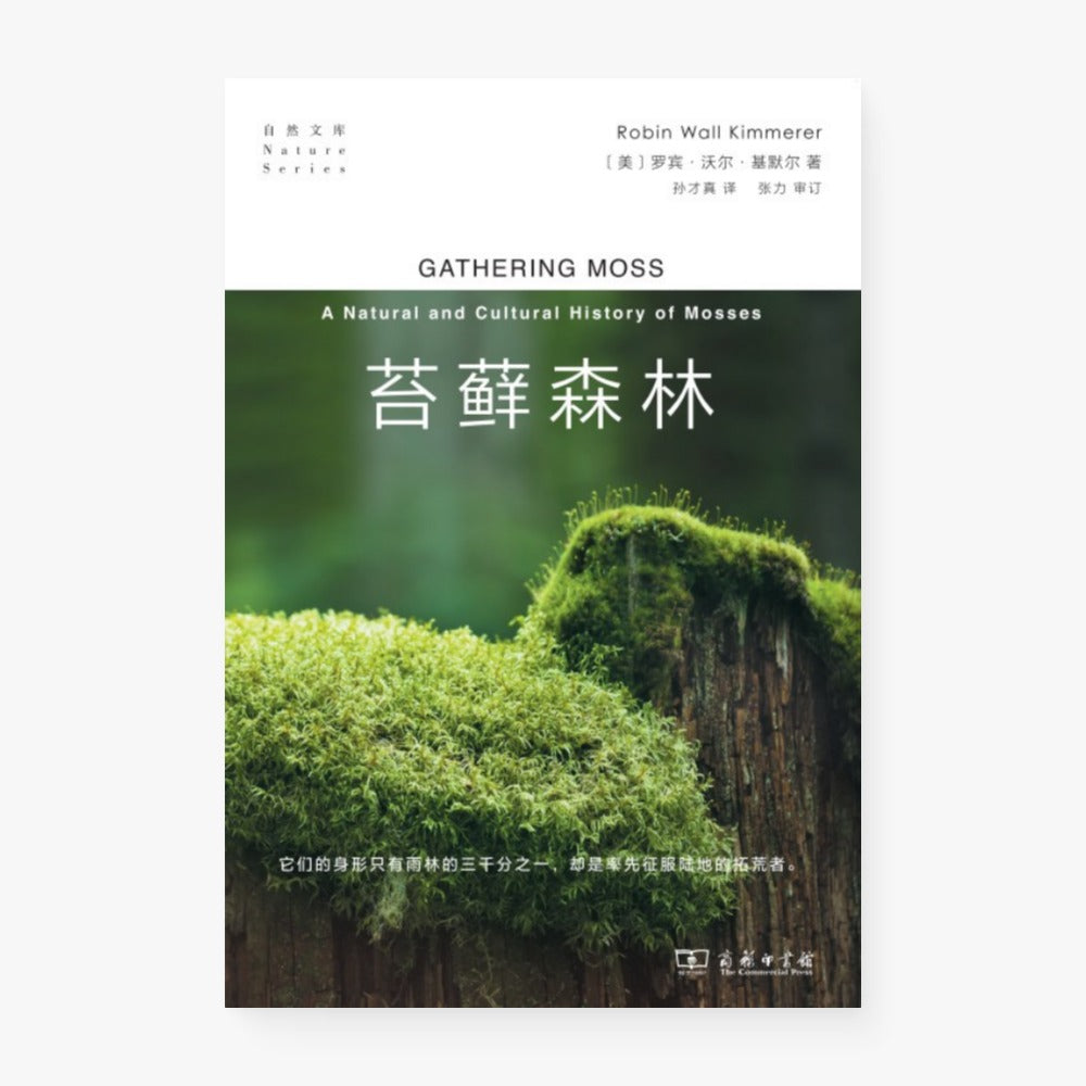 苔藓森林