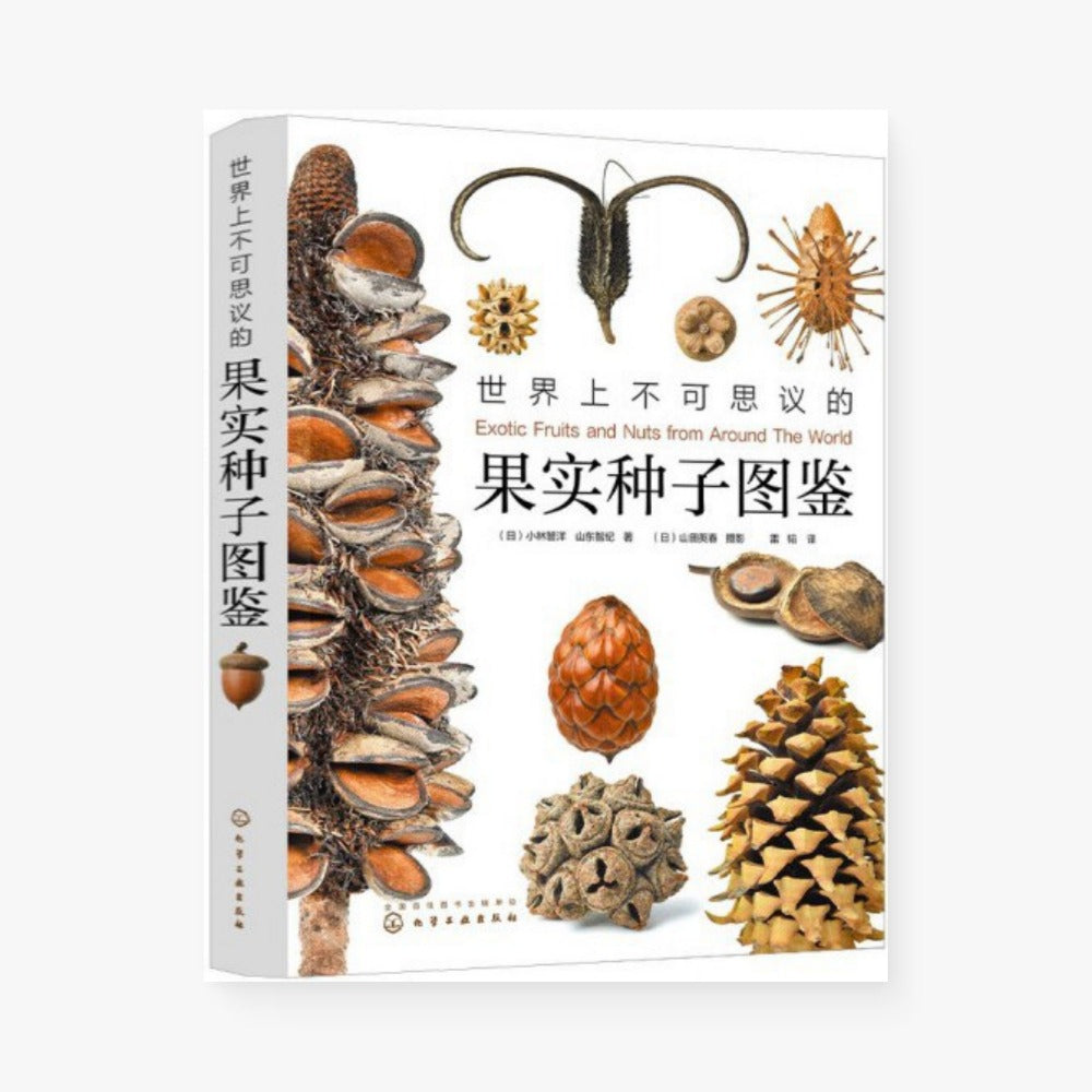 世界上不可思议的果实种子图鉴