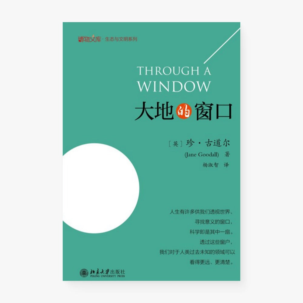 大地的窗口