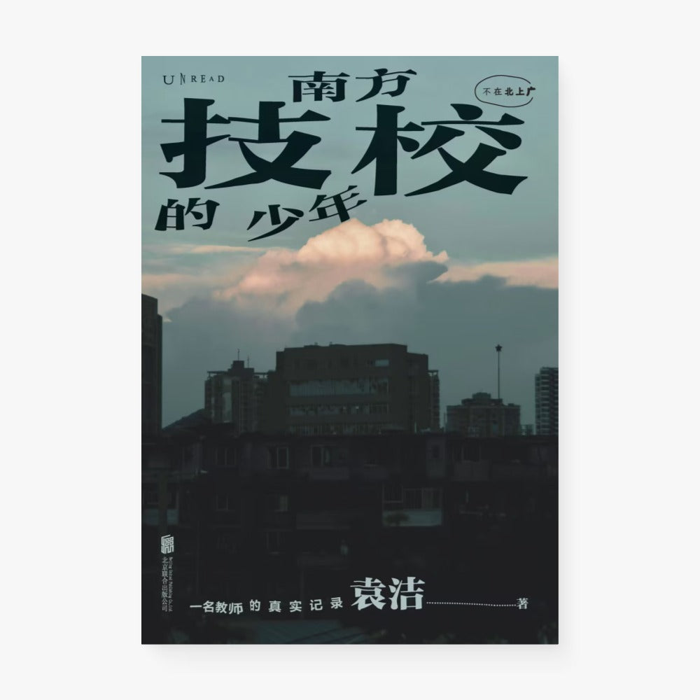 南方技校的少年 : 一名教师的真实记录