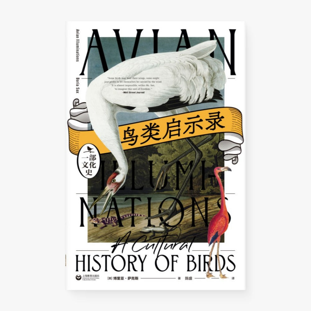 鸟类启示录