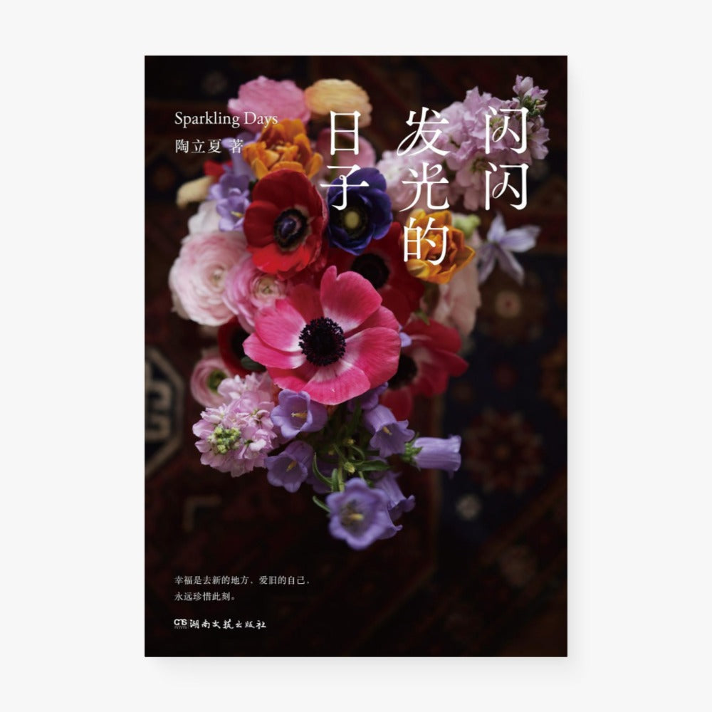 闪闪发光的日子