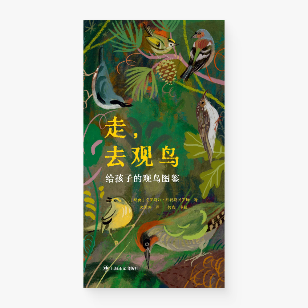 走,去观鸟