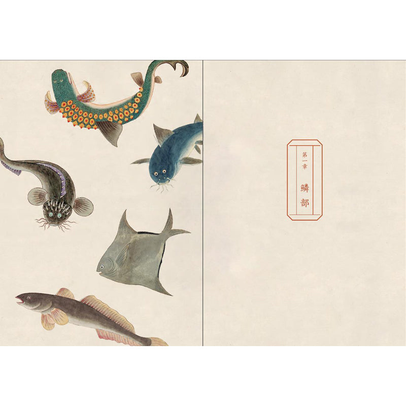 海错图笔记·肆