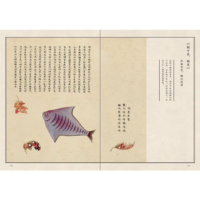 海错图笔记·肆