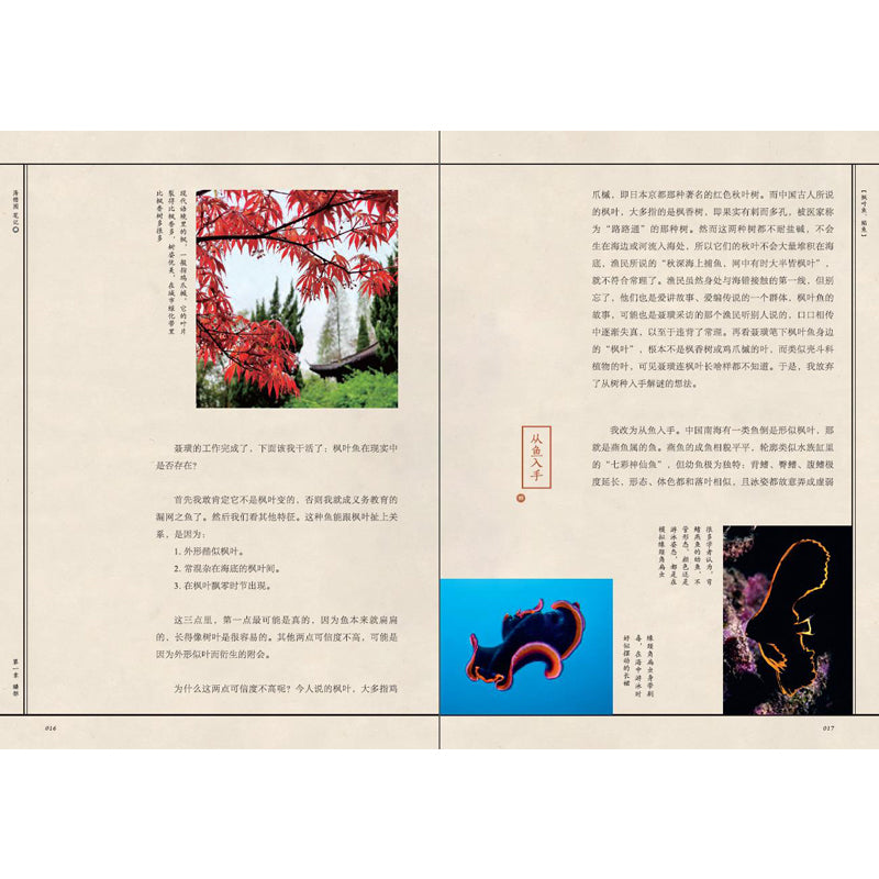 海错图笔记·肆