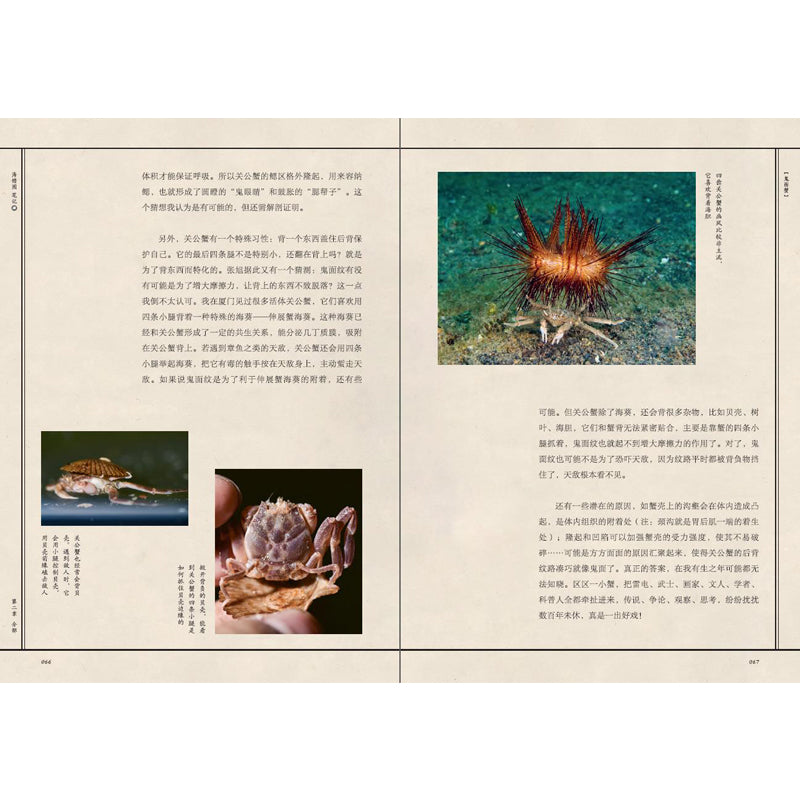 海错图笔记·肆