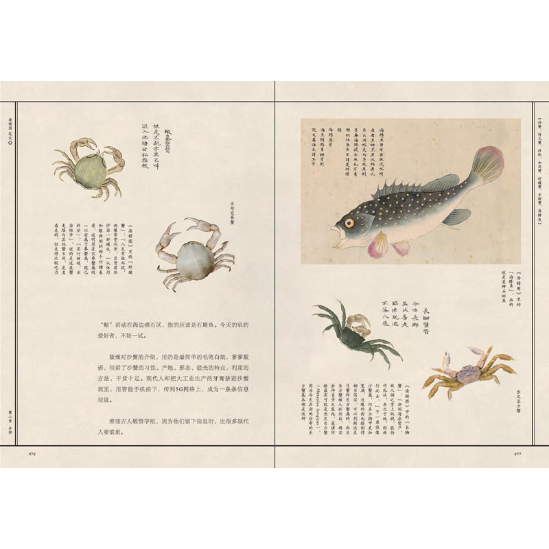 海错图笔记·肆