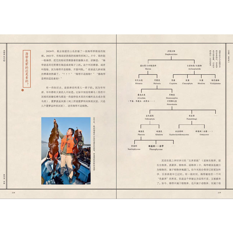 海错图笔记·肆