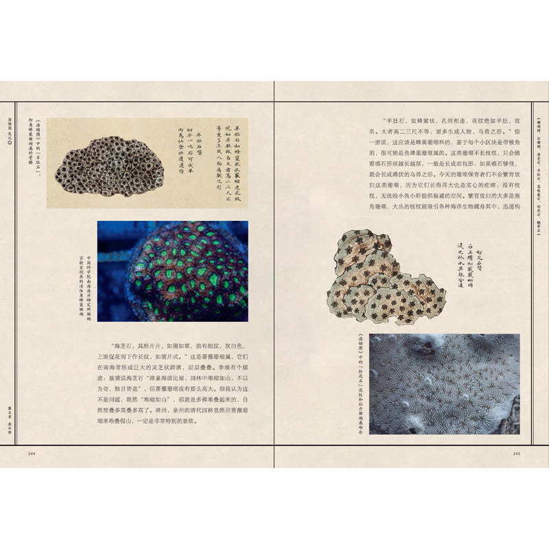 海错图笔记·肆