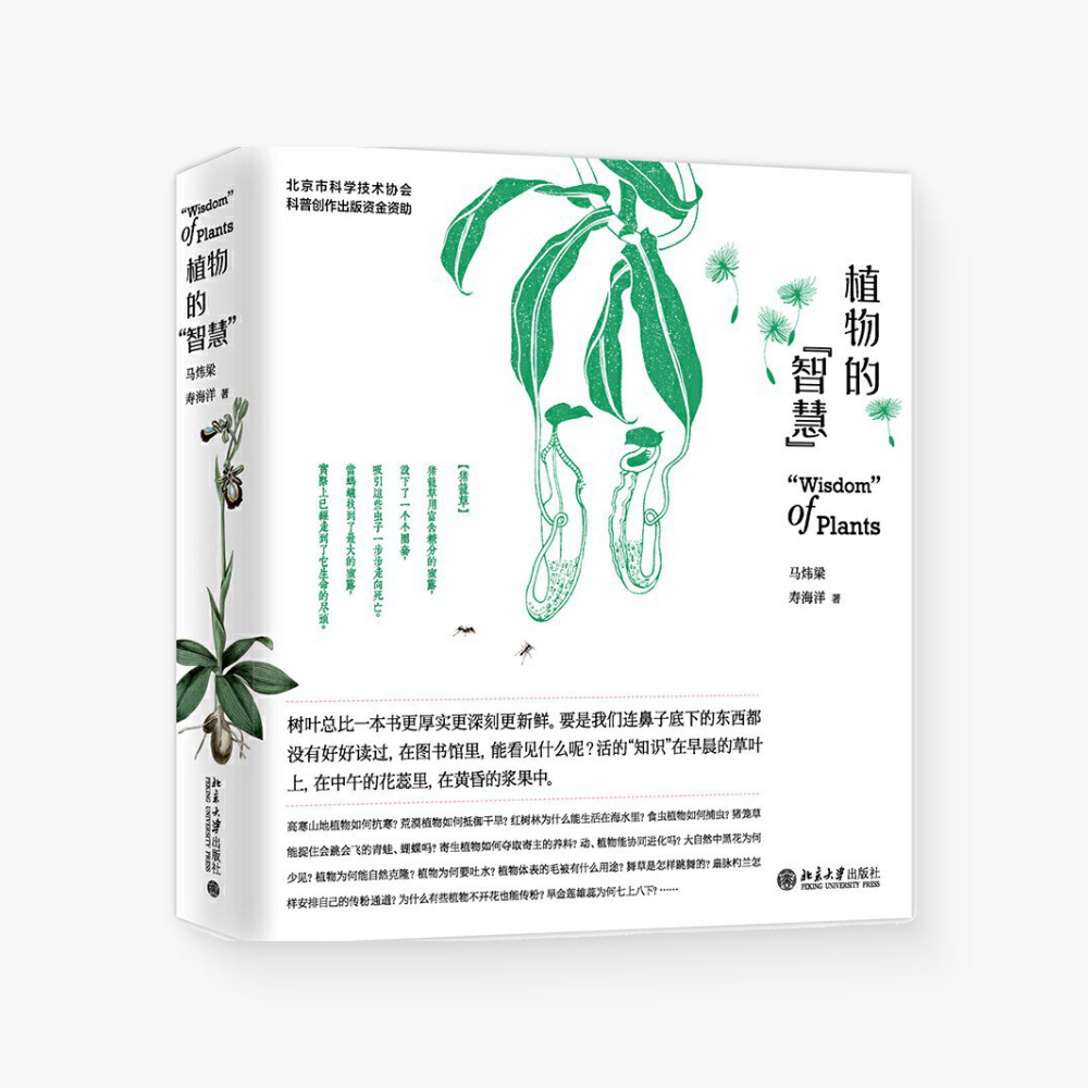 植物的智慧:以植物学家的眼光「看」植物,欣赏植物的生存「智慧」
