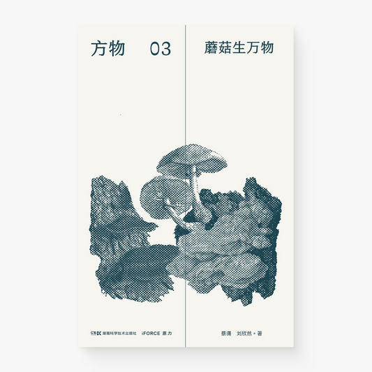 方物03:蘑菇生万物