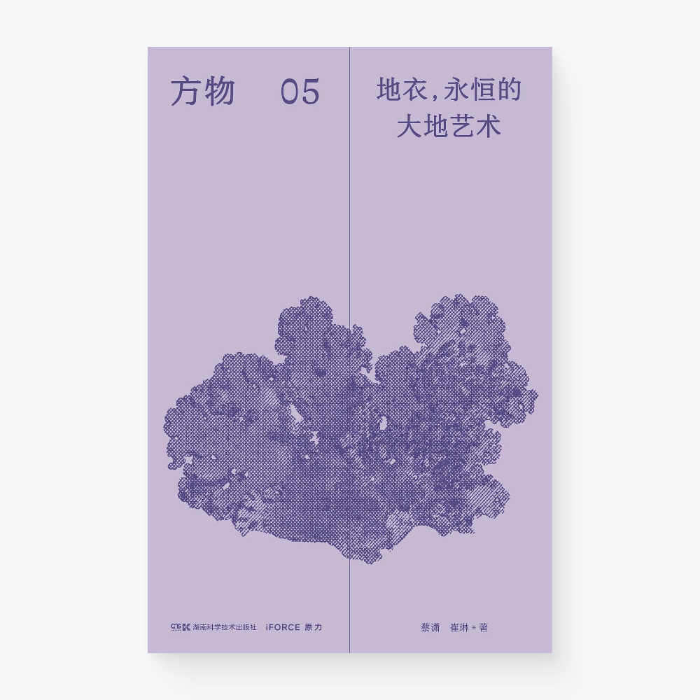 方物05:地衣,永恒的大地艺术