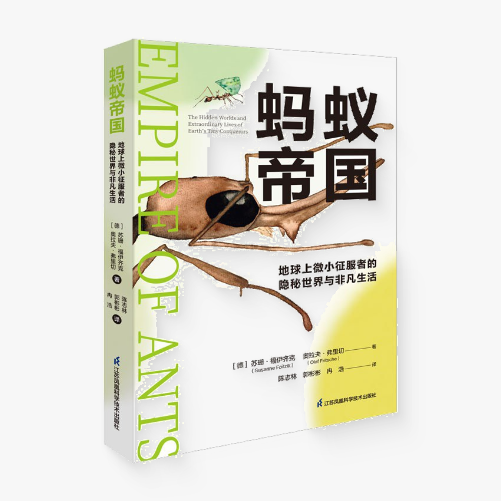 蚂蚁帝国