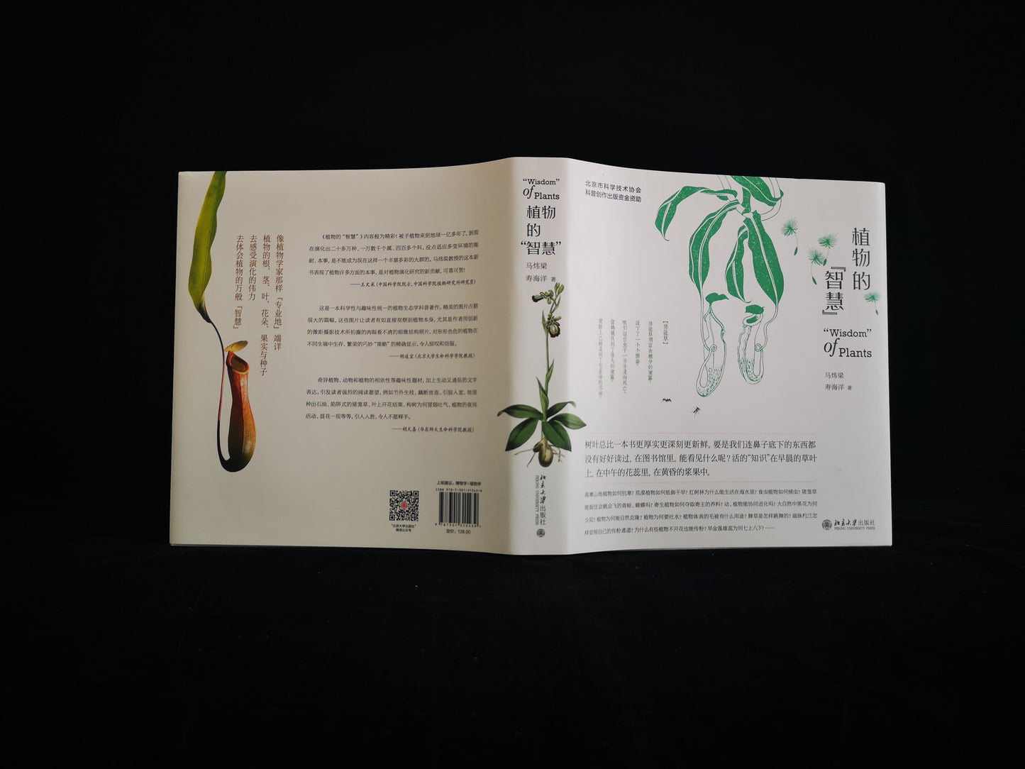 植物的智慧:以植物学家的眼光「看」植物,欣赏植物的生存「智慧」