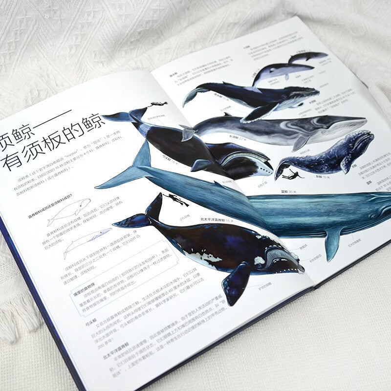 小小世界:海里的巨兽