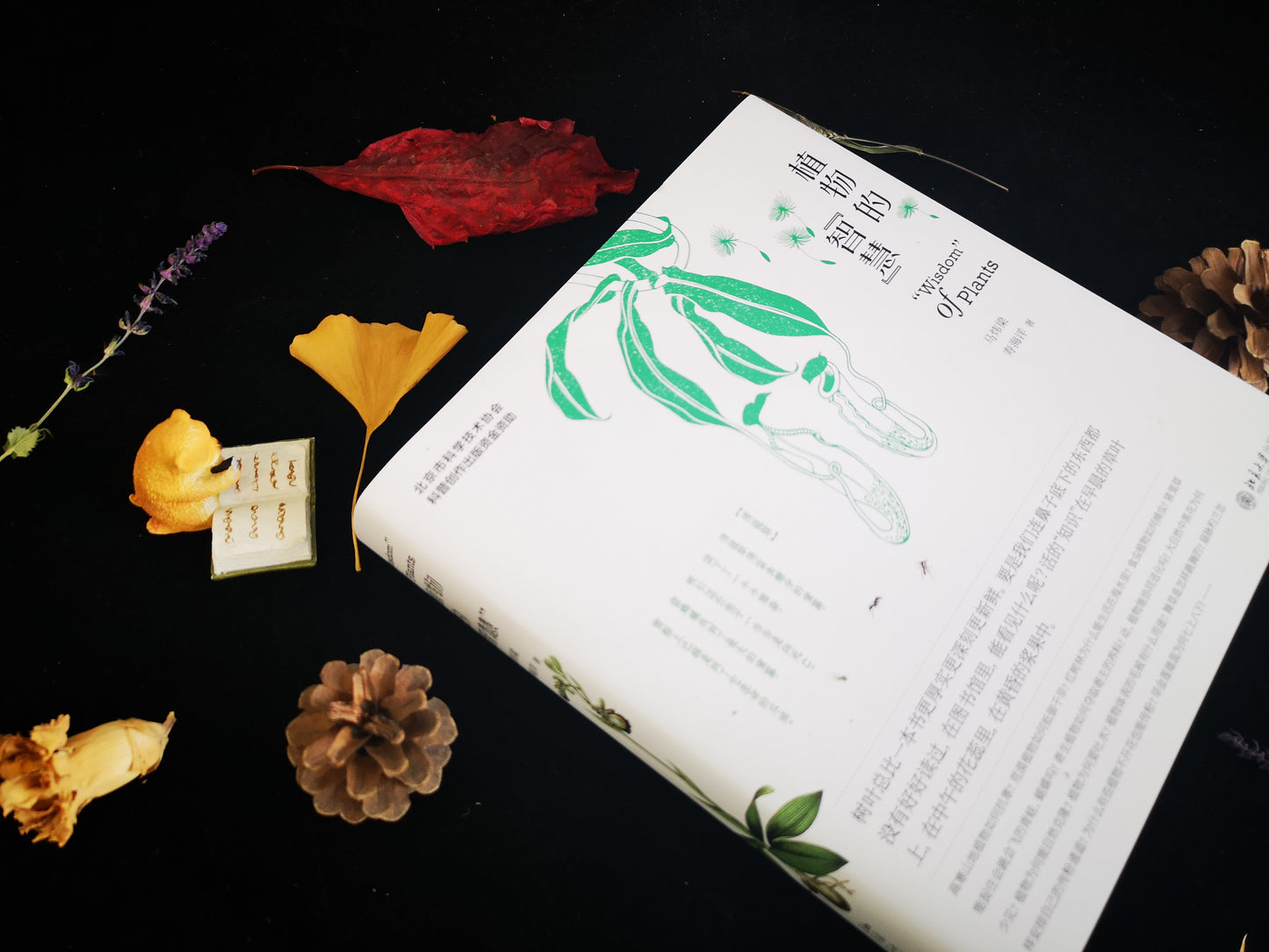 植物的智慧:以植物学家的眼光「看」植物,欣赏植物的生存「智慧」