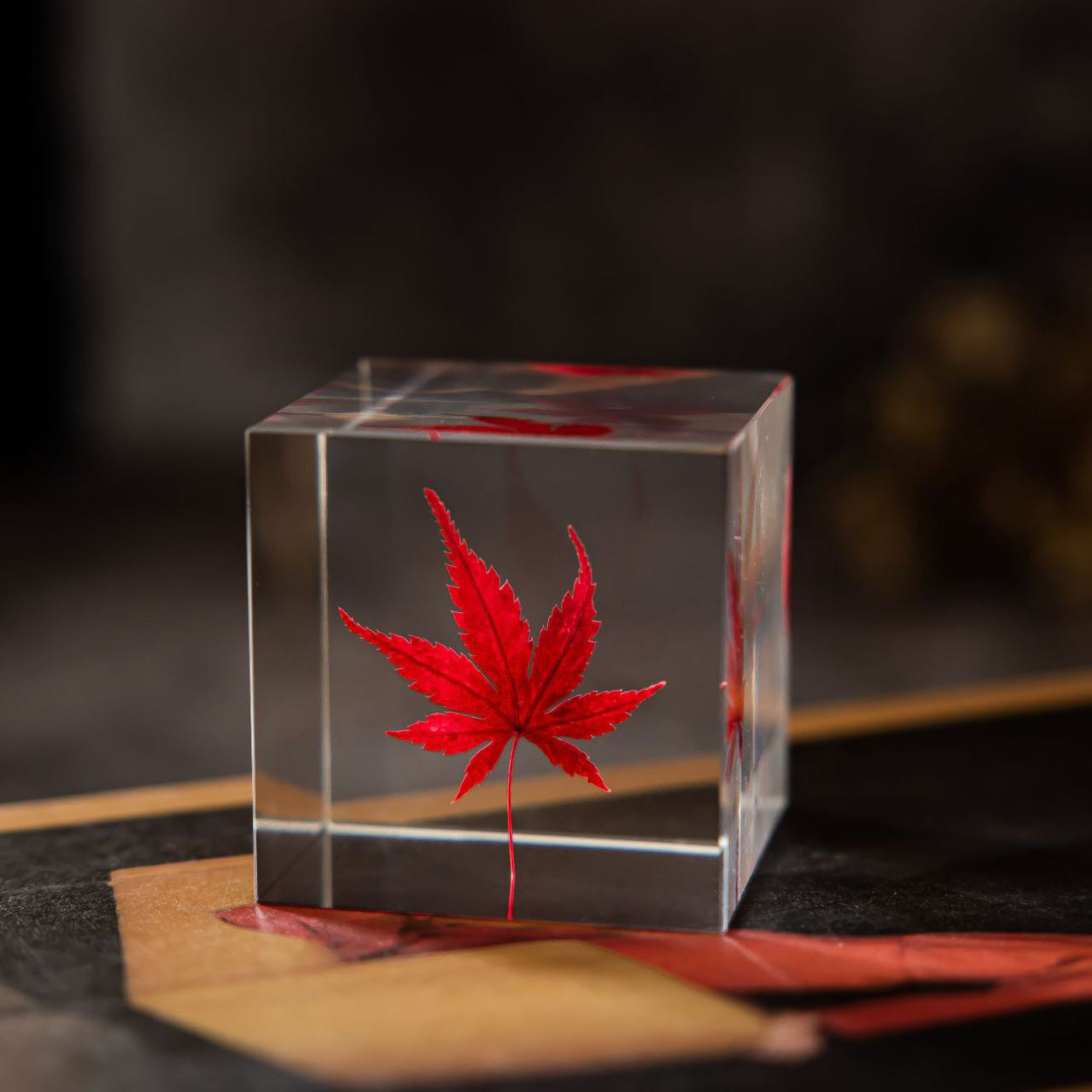 Flower Cube Nightlight Set