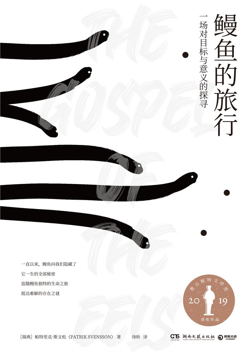 鳗鱼的旅行 : 一场对目标与意义的探寻