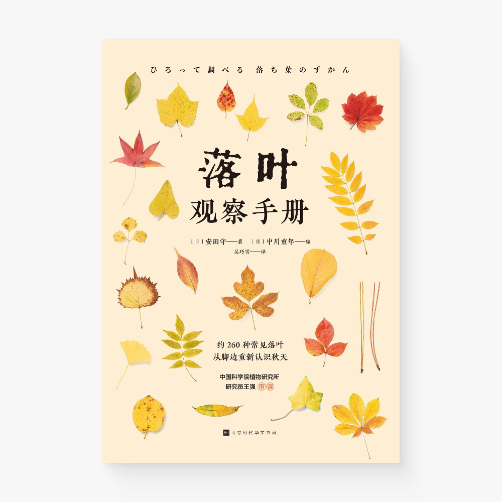 落叶观察手册