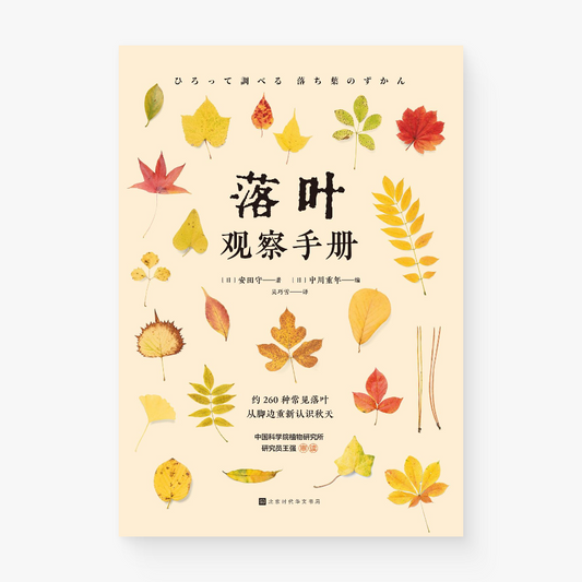落叶观察手册