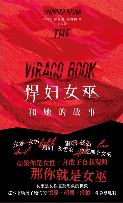 悍妇女巫和她的故事