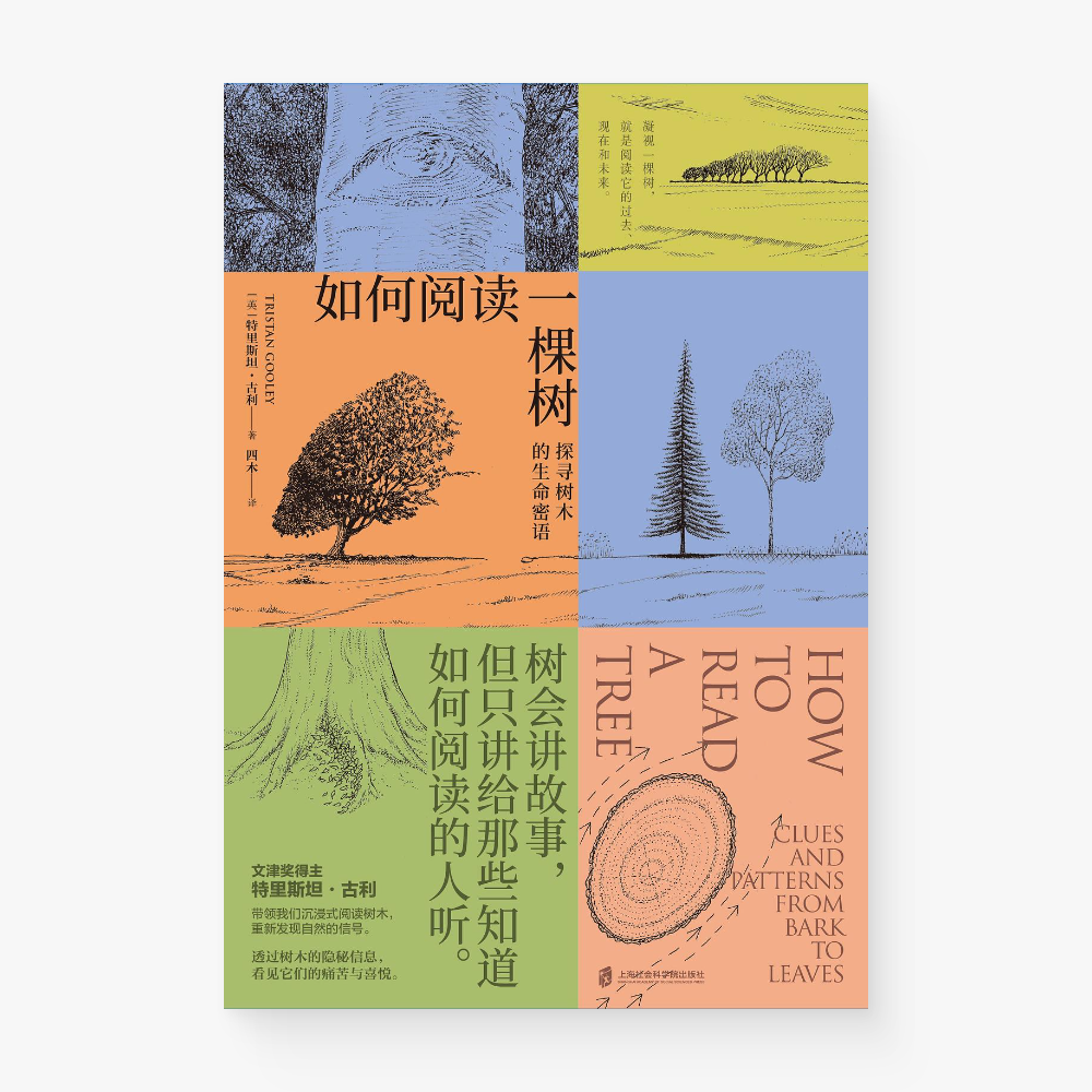 如何阅读一棵树 : 探寻树木的生命密语 – Motata Books