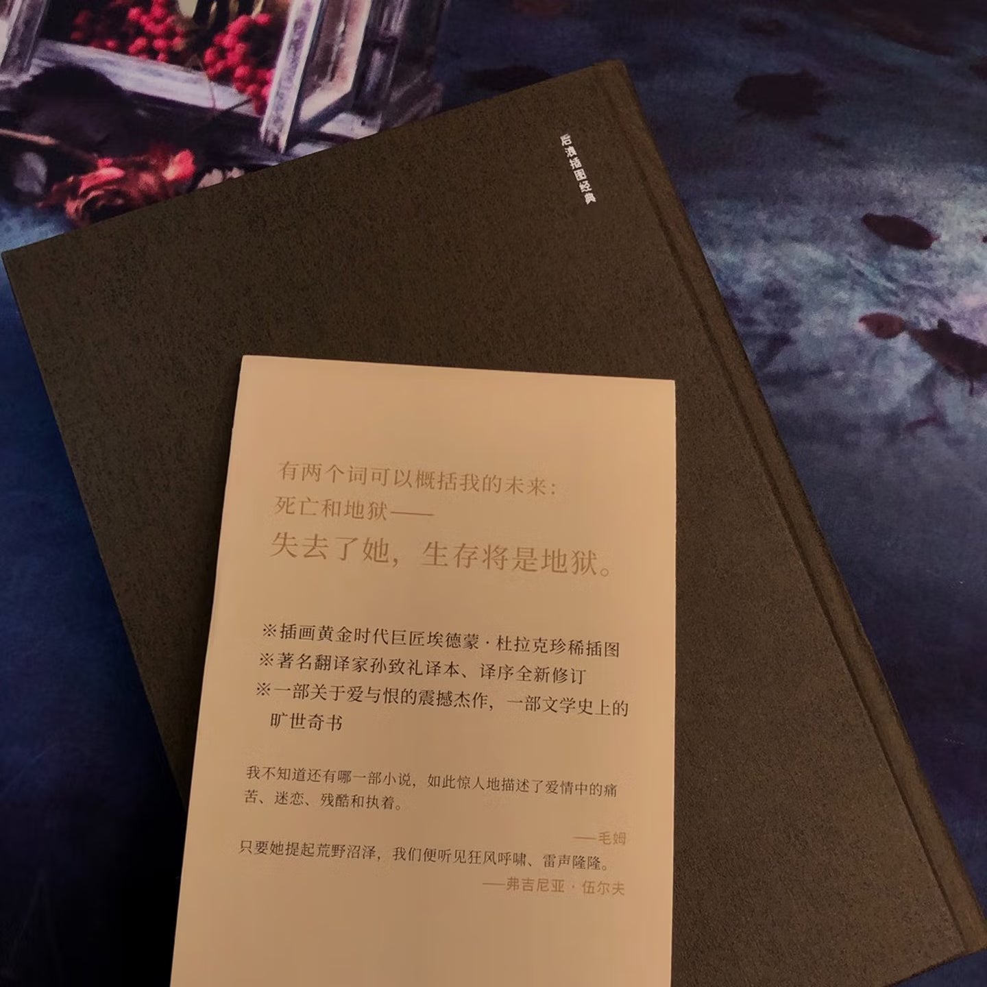 呼啸山庄：插图珍藏版