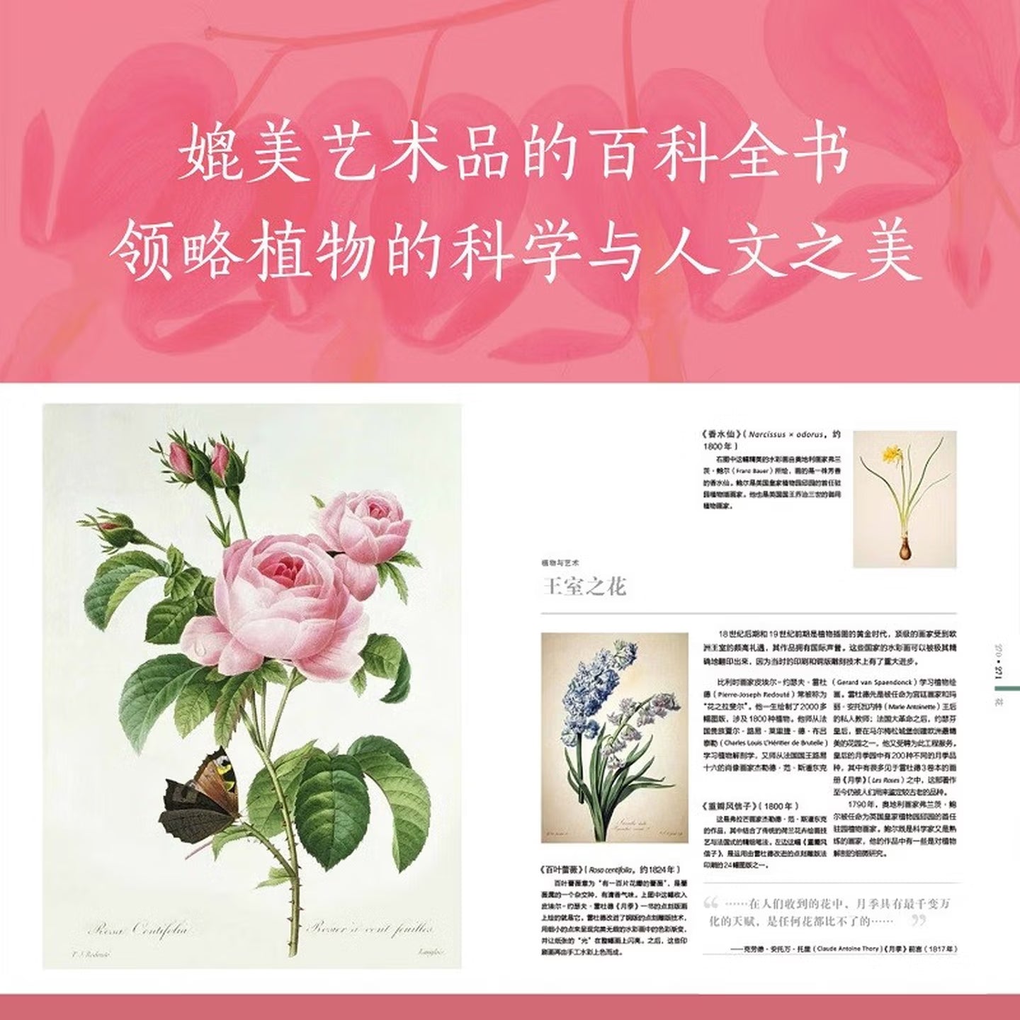 DK植物大百科（新版）