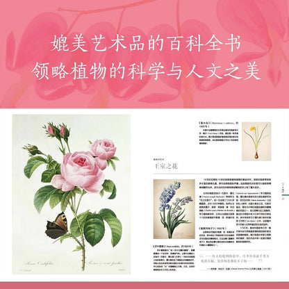 DK植物大百科（新版）