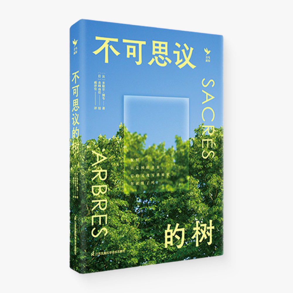 不可思议的树