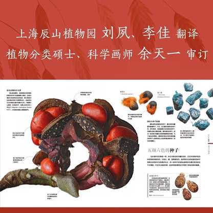 DK植物大百科（新版）