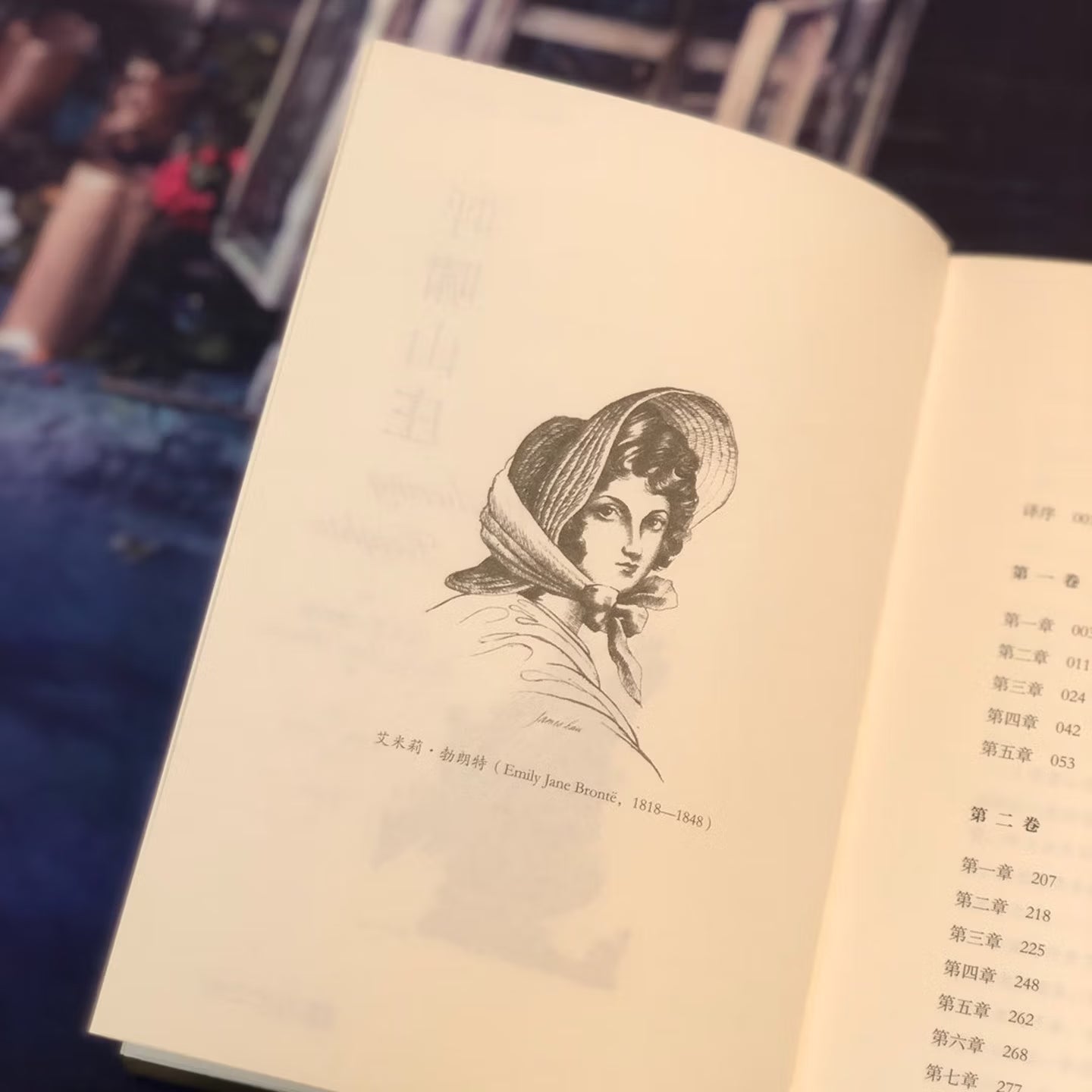 呼啸山庄：插图珍藏版