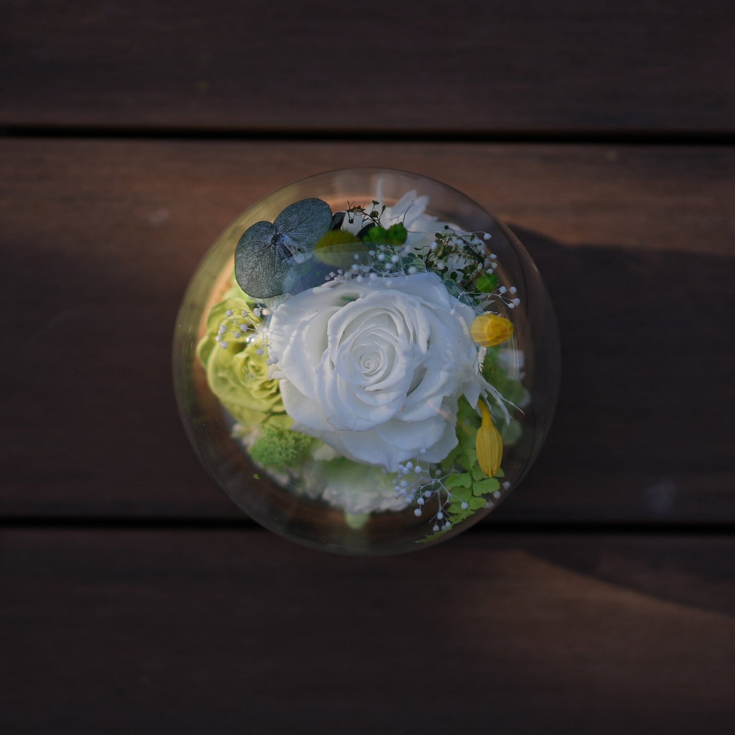 Preserved Flower Light Dome