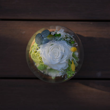 Preserved Flower Light Dome