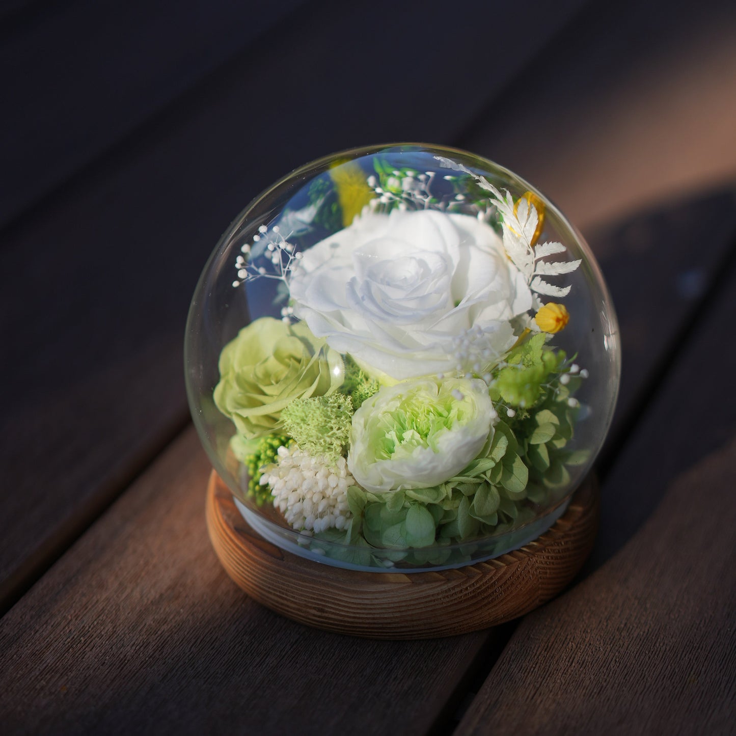 Preserved Flower Light Dome