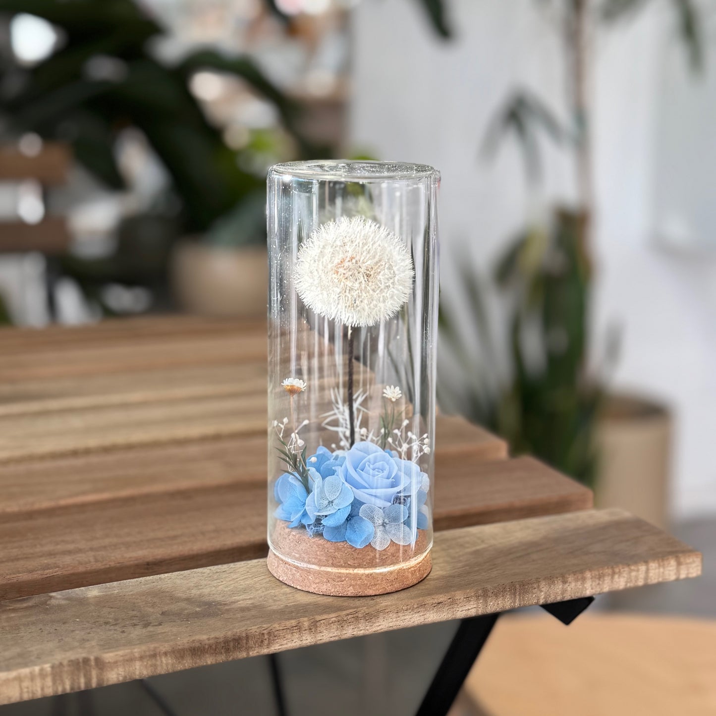 “Wish in a Jar” Preserved Dandelion Cylindrical Glass Dome