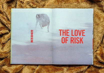 LOST: Issue Eleven