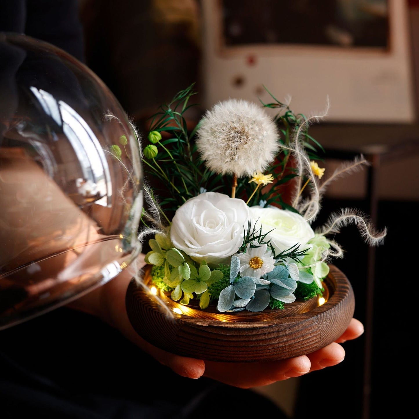 Preserved Flower Light Dome