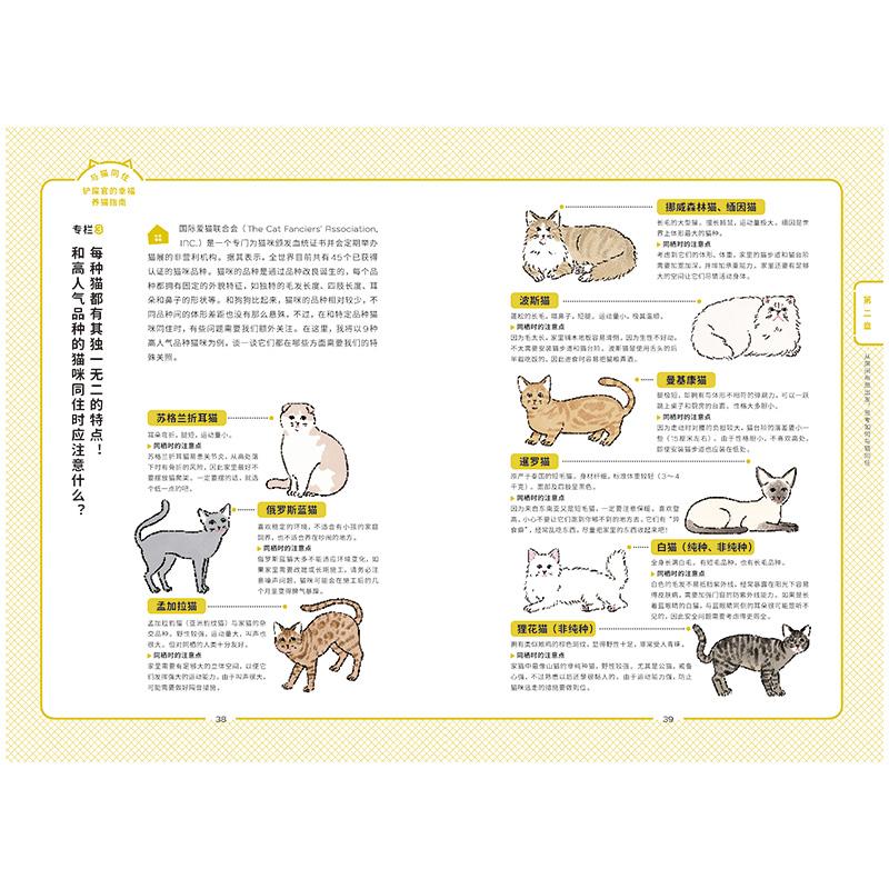 与猫同住：铲屎官的幸福养猫指南