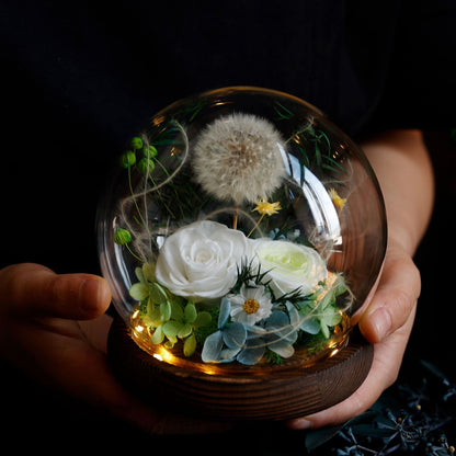 Preserved Flower Light Dome