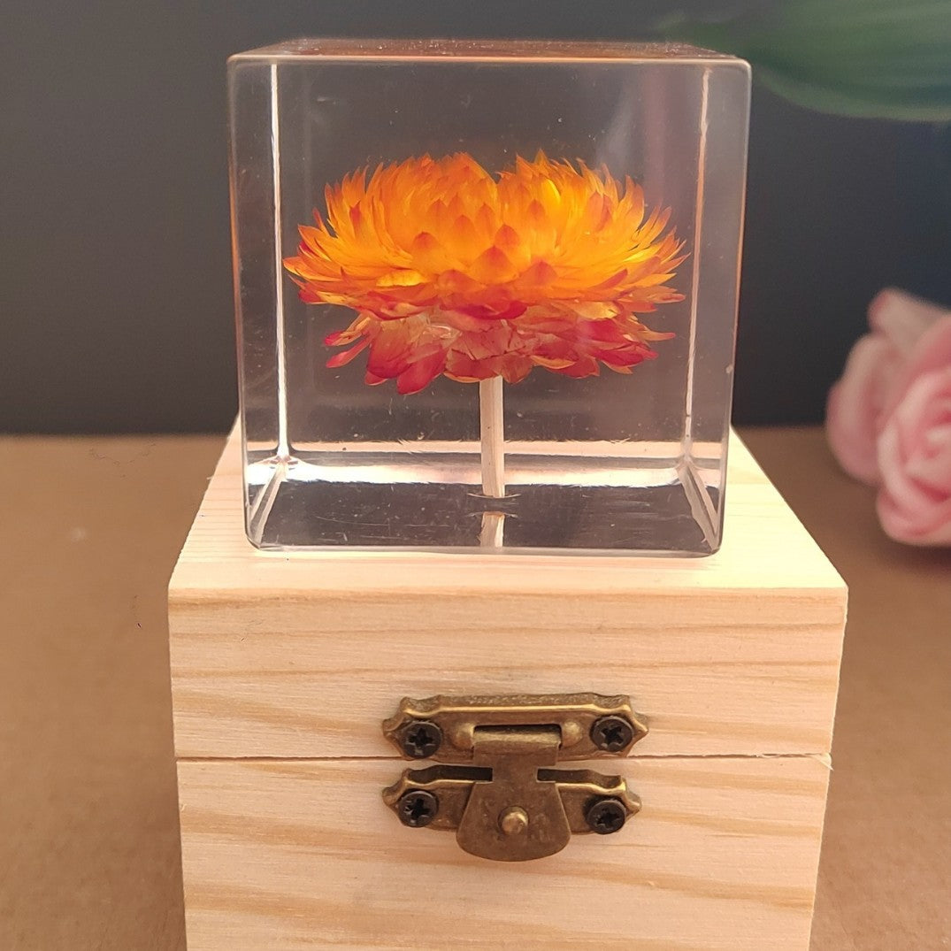 Flower Cube Nightlight Set